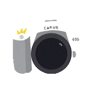 Picture Photography Sticker by Lucie Fink