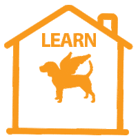 whenhoundsfly stayhome whf when hounds fly learnfromhome Sticker