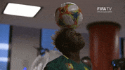 2019 Fifa Wwc Football GIF by FIFA
