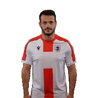Football Vako Sticker by Georgia Gff