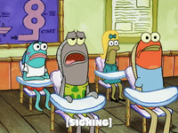 season 6 boating buddies GIF by SpongeBob SquarePants