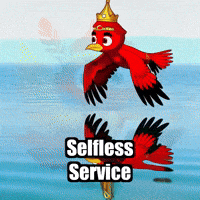 Wisdom GIF by The Cardinal Virtue