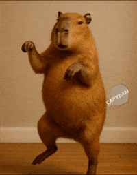 Square Up Martial Arts GIF