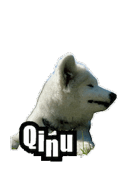 Puppy Chomp Sticker