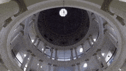 texas am college GIF by Texas A&M University