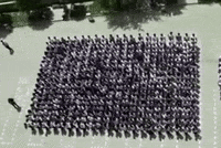 Faragalnemr GIF