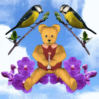 Teddy Bear Birds GIF