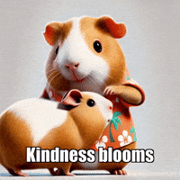 Kindness Love GIF by Guinea Gambino
