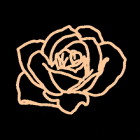 ashleyroseclothing dance pink flower flowers GIF