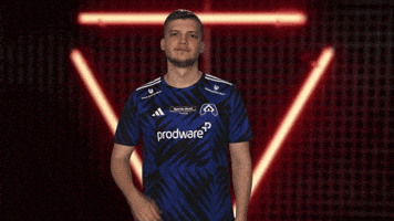 Proud Hamburger Sv GIF by Bundesliga
