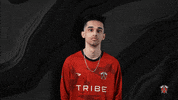 Game Time Esports GIF by Tribe Gaming