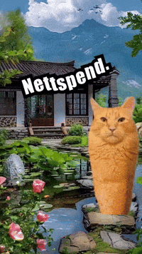 Nettspend GIF by Respective