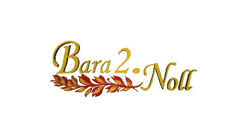 Barasse giphyupload baras bara2noll Sticker