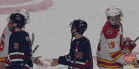 Ice Hockey Sport GIF by NHL