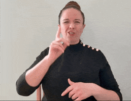 Asl Hug GIF