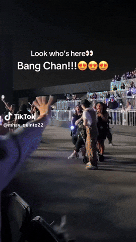 Бан Чан из Stray Kids стал вирусным после трогательного приветствия фанатки на концерте 4 giphy