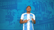 Celebration Cfc GIF by ChemnitzerFC