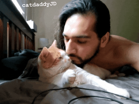 Good Morning Cat GIF by STAGEWOLF
