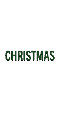 Christmasatthelake Sticker by Lake House Rotterdam