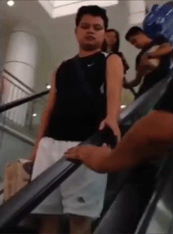 sight GIF