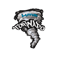 KMSMOTORSPORT  Sticker
