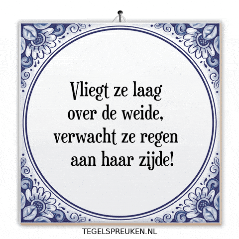 Spreuk Troost GIF by Tegelspreuken.nl