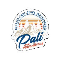 Summer Camp Sticker by Pali Institute