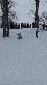 DinomiteTwins oh no rat regret snow day GIF