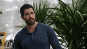 Happy Chesapeake Shores GIF by Hallmark Channel