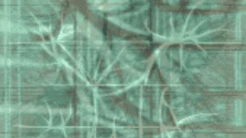 marianthe_loucataris giphygifmaker GIF