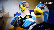 mexico salute GIF by Universidad Veracruzana