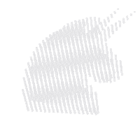 Magic Horse Sticker by JVAL Openair