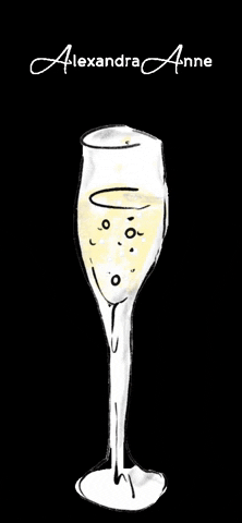 AlexandraAnne cheers champagne bridal prosecco GIF