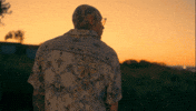 Fyre GIF