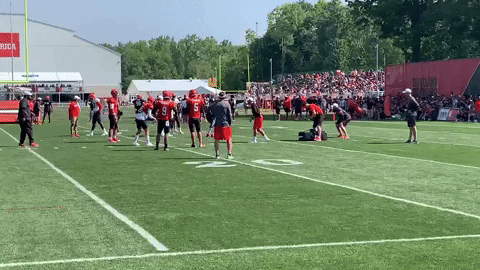 jburns1810 giphyupload GIF