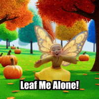 Fall Autumn GIF by BuddhaFlyJourney