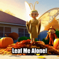 Fall Autumn GIF by BuddhaFlyJourney