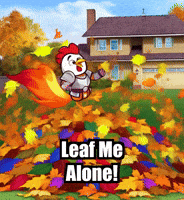 Fall Autumn GIF by Zorooster