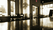 restaurant GIF