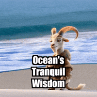 GIF by Radiantelope