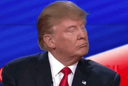 Political gif. Donald Trump looks away from someone with a smug smirk on his face. He swats his hand in the air to dismiss something he’s just heard. 
