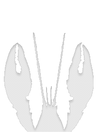 Lobster Claws Wt Sticker by Weston Table