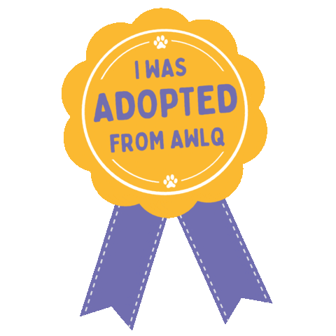 awlqld adopt dont shop awl adopted dog adopted cat Sticker