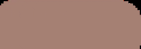 monsakbags giphygifmaker brown shape leather GIF