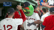 Celebrate Red Sox GIF by MLB