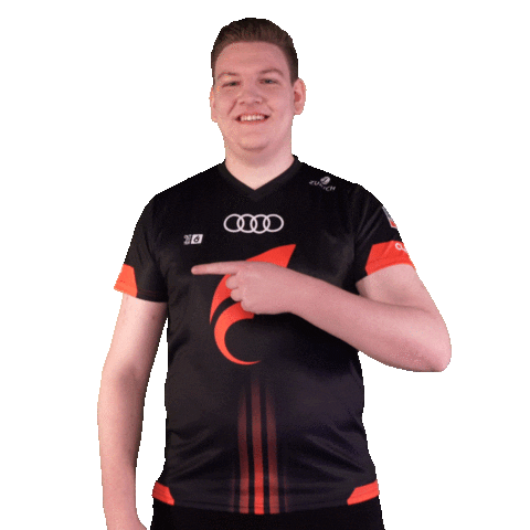 Pointing Fifa20 Sticker by STARK ESPORTS