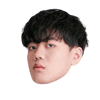 Fw Flashwolves Sticker
