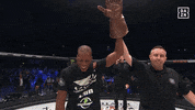 infinity gauntlet win GIF by DAZN USA