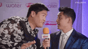 TallBoyz sorry canada apology 204 GIF