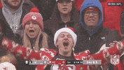 Kansas City Chiefs Football GIF by NFL